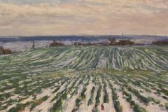 Григорій Пришедько. "Озимина". 1966.